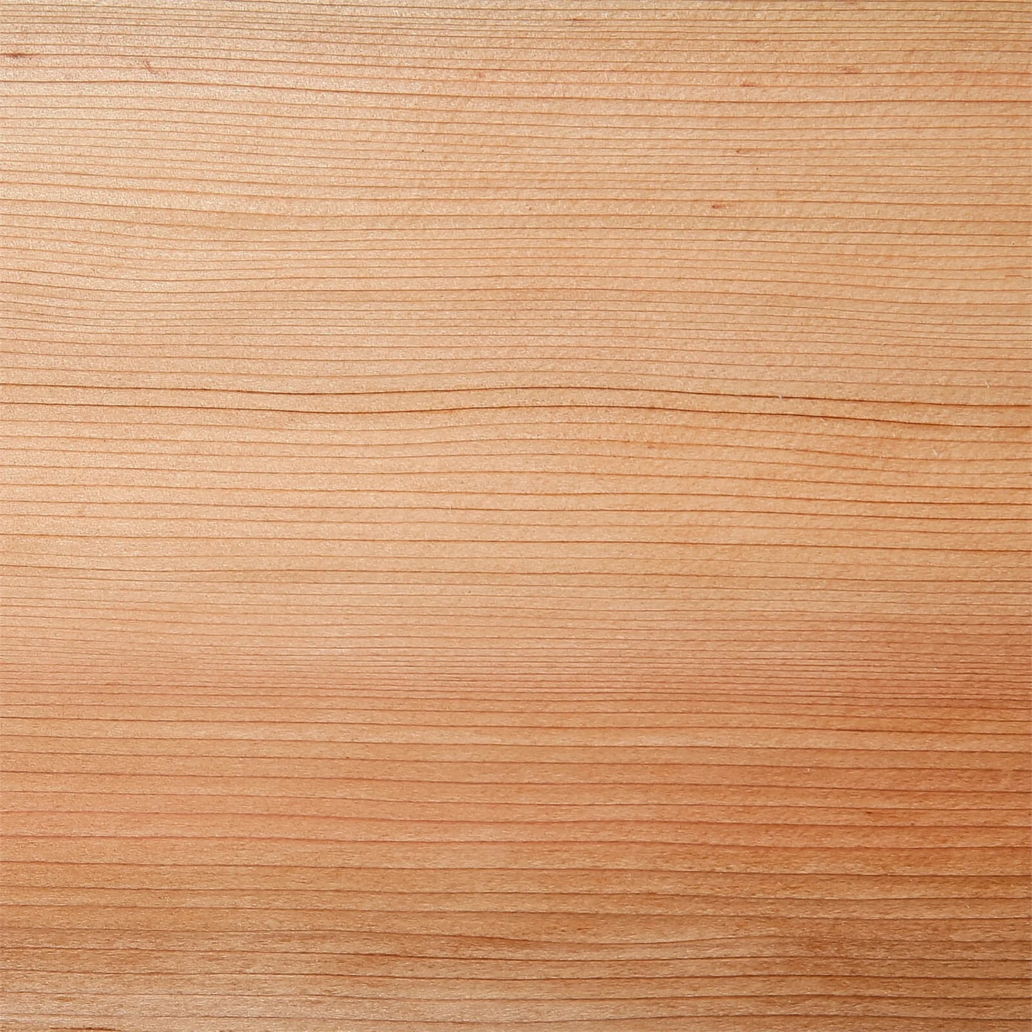 None Western Red Cedar SertiWOOD Cladding Tongue And Groove TGV (6 Pack) 1.48m2 - Image 3